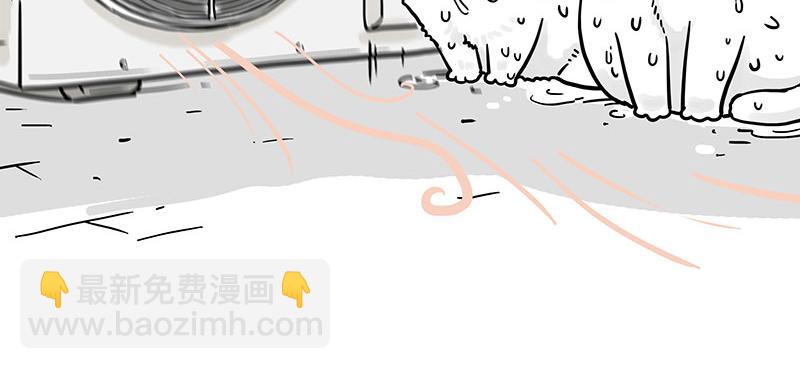 🍘吾皇巴扎黑 第391话 太热了！ 第13页