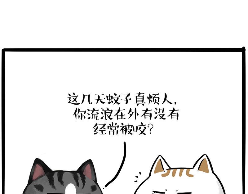 🍘吾皇巴扎黑 第391话 太热了！ 第14页