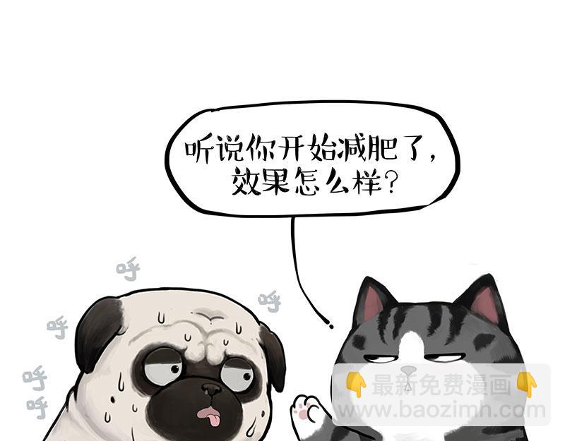 🍘吾皇巴扎黑 第391话 太热了！ 第20页