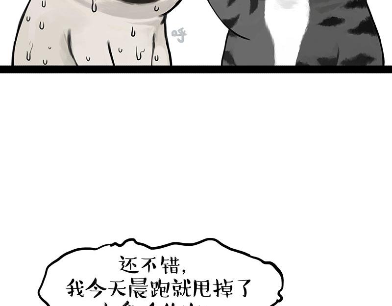 🍘吾皇巴扎黑 第391话 太热了！ 第21页