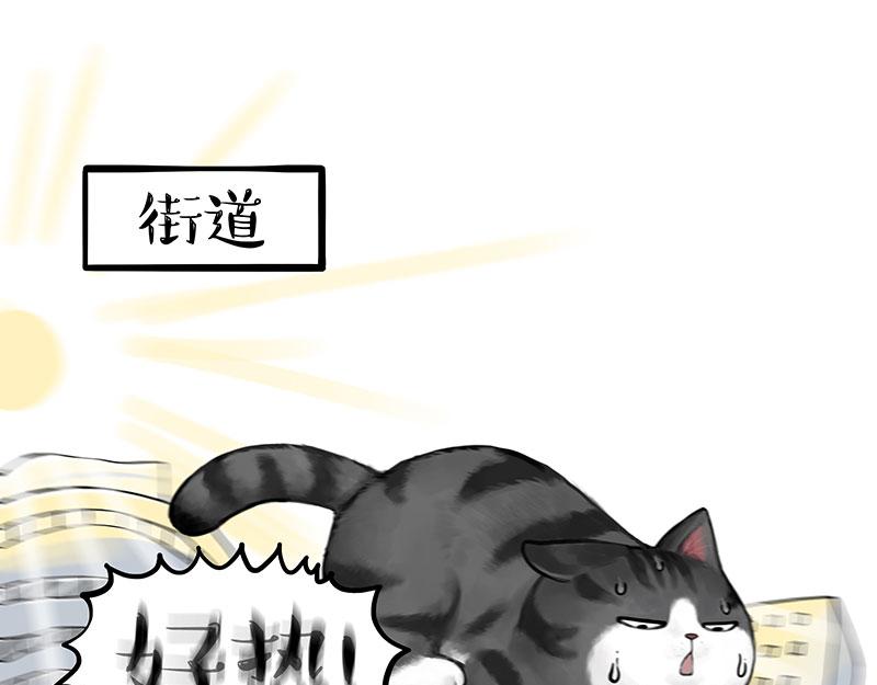 🍘吾皇巴扎黑 第391话 太热了！ 第6页