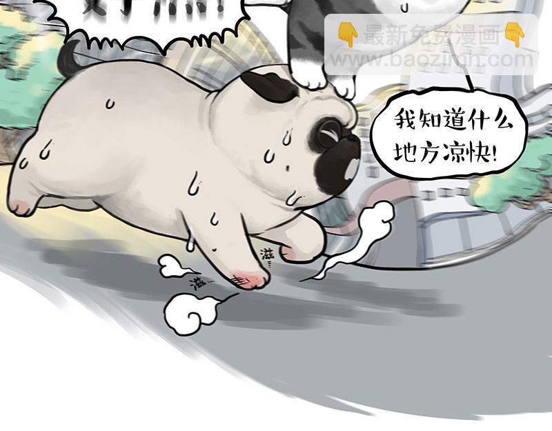 🍘吾皇巴扎黑 第391话 太热了！ 第7页