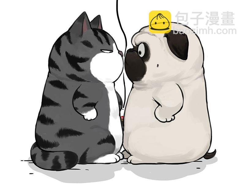 🍘吾皇巴扎黑 第393话 选择性社恐 第43页