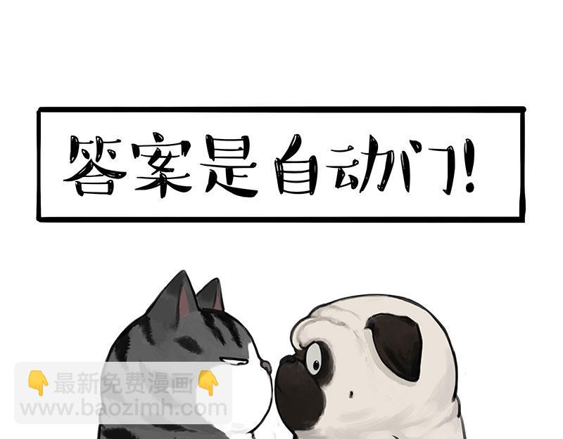 🍘吾皇巴扎黑 第393话 选择性社恐 第46页