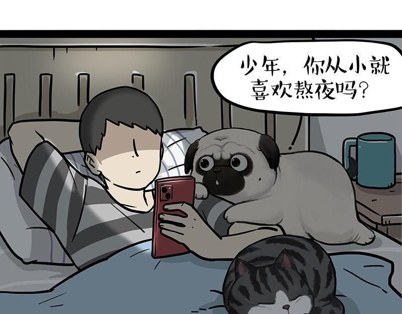 🍘吾皇巴扎黑 第395话 流星灵得很 第1页