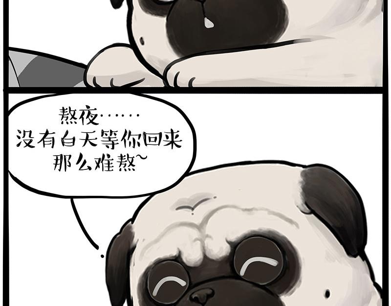 🍘吾皇巴扎黑 第395话 流星灵得很 第11页