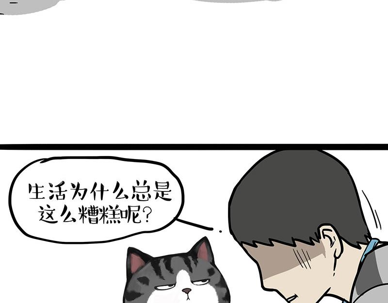 🍘吾皇巴扎黑 第395话 流星灵得很 第16页