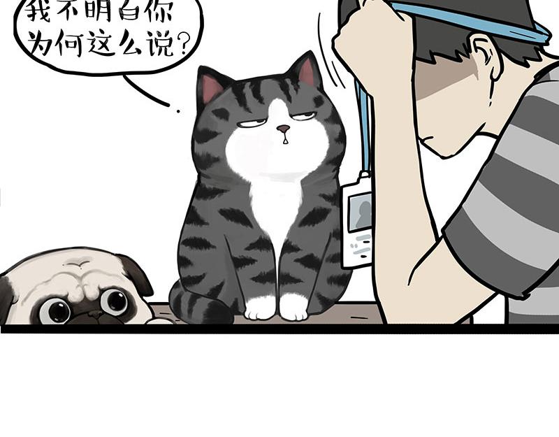 🍘吾皇巴扎黑 第395话 流星灵得很 第18页