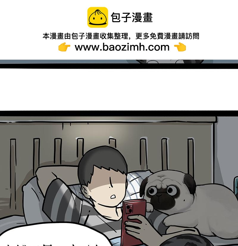 🍘吾皇巴扎黑 第395话 流星灵得很 第2页