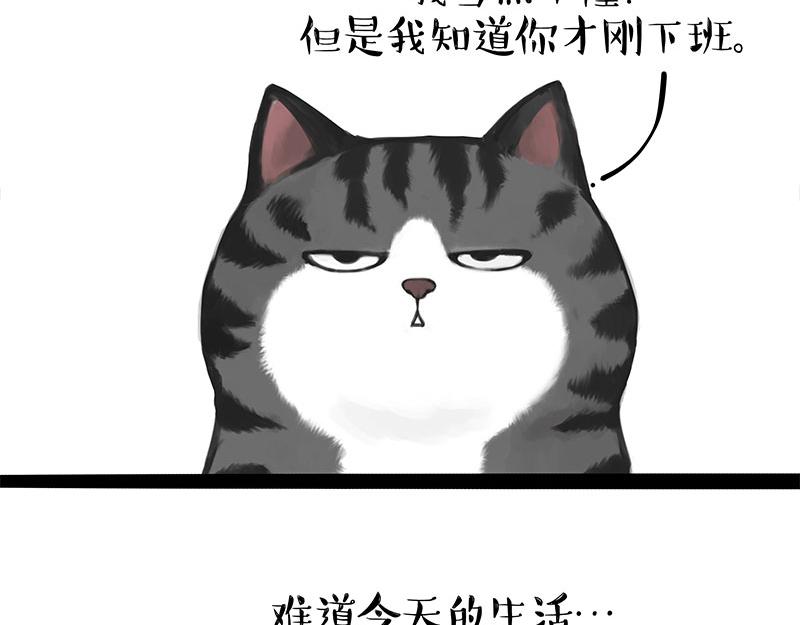 🍘吾皇巴扎黑 第395话 流星灵得很 第21页