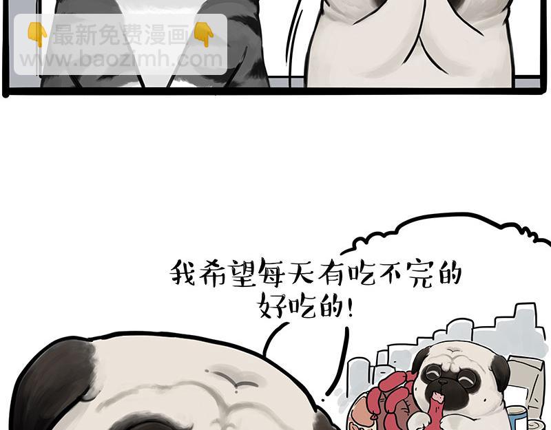 🍘吾皇巴扎黑 第395话 流星灵得很 第41页