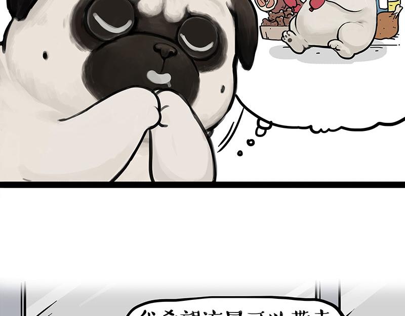 🍘吾皇巴扎黑 第395话 流星灵得很 第42页