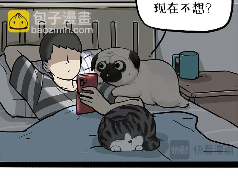 🍘吾皇巴扎黑 第395话 流星灵得很 第5页