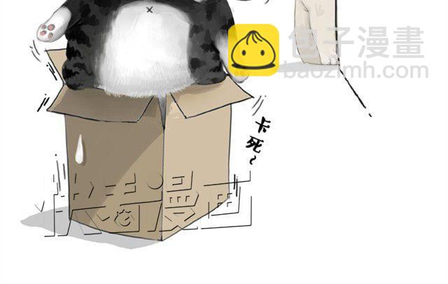 🍘吾皇巴扎黑 第5话 让我吃胖一定是人类陷阱 第10页