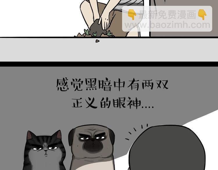 🍘吾皇巴扎黑 第41话 好气哦，人不如狗 第16页