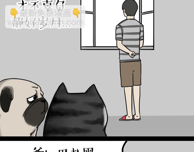 🍘吾皇巴扎黑 第41话 好气哦，人不如狗 第20页