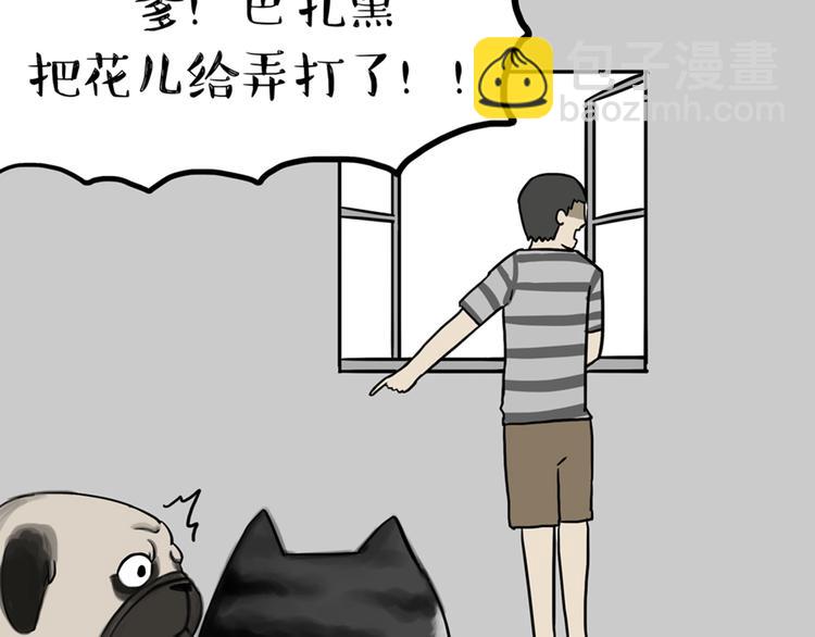 🍘吾皇巴扎黑 第41话 好气哦，人不如狗 第21页