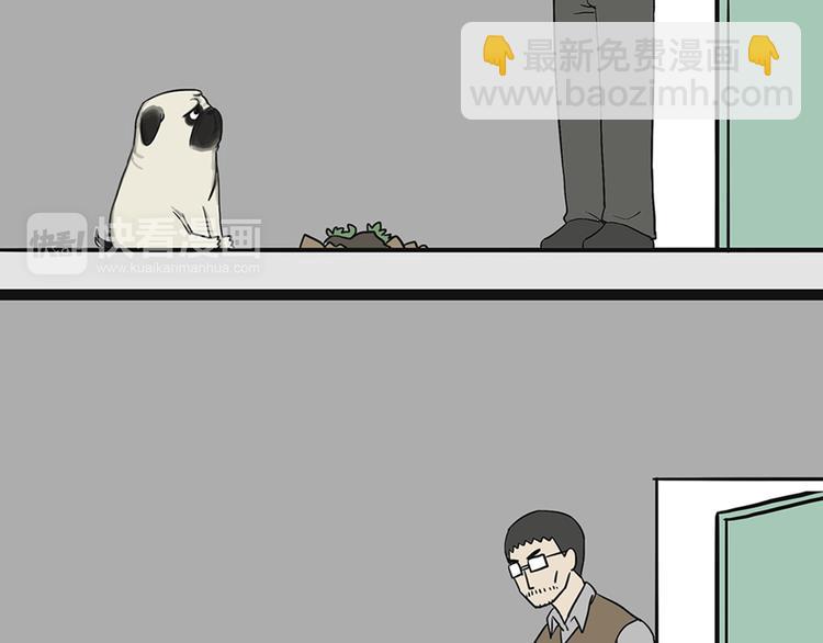 🍘吾皇巴扎黑 第41话 好气哦，人不如狗 第24页