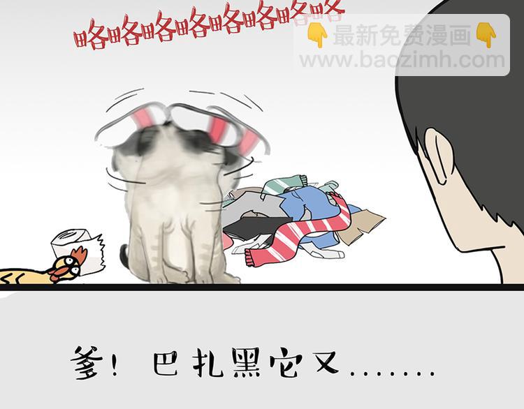 🍘吾皇巴扎黑 第41话 好气哦，人不如狗 第31页