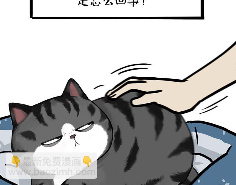 🍘吾皇巴扎黑 第399话 NPC 第10页