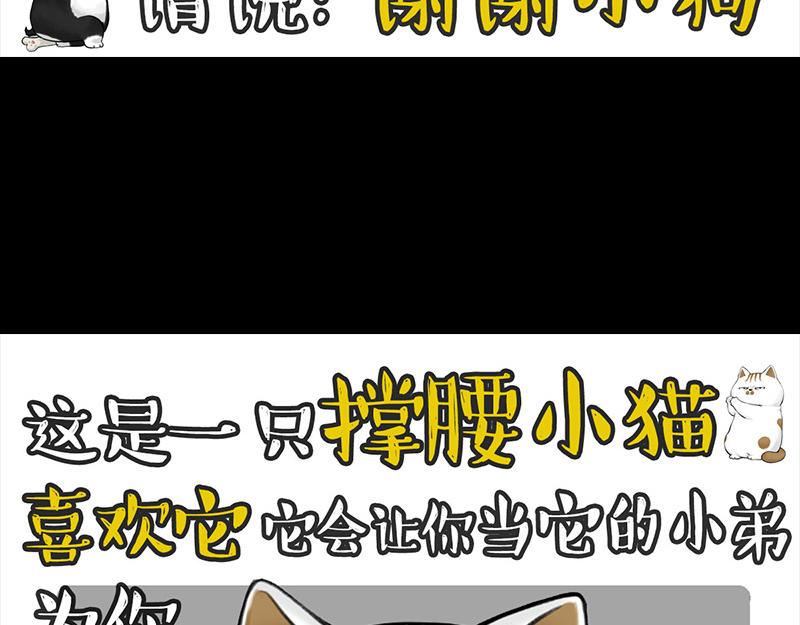 🍘吾皇巴扎黑 第399话 NPC 第21页