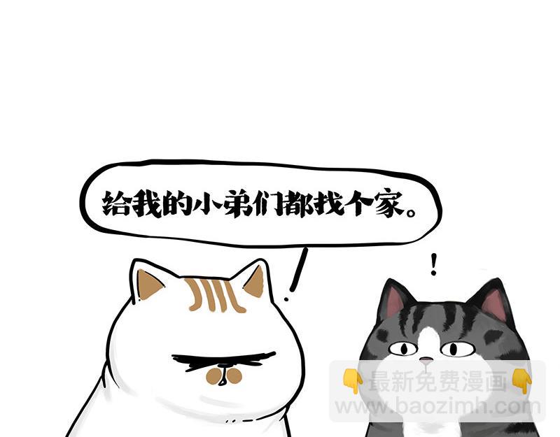 🍘吾皇巴扎黑 第401话 傲霸你没事吧？ 第44页