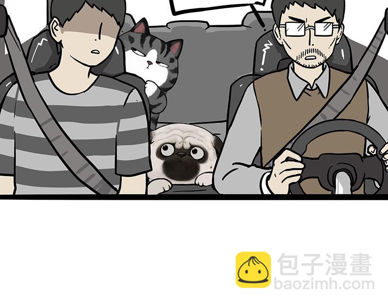 🍘吾皇巴扎黑 第403话 一生要强的爹 第16页