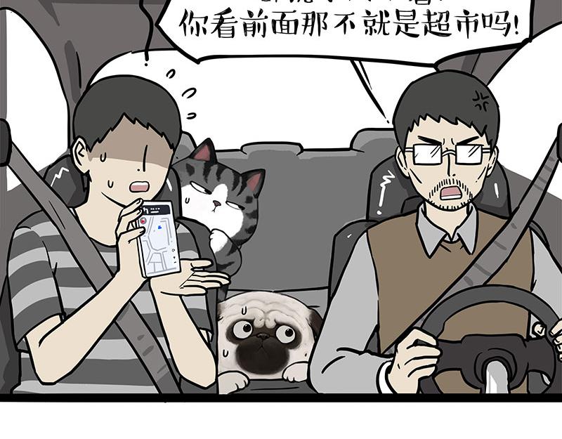 🍘吾皇巴扎黑 第403话 一生要强的爹 第19页