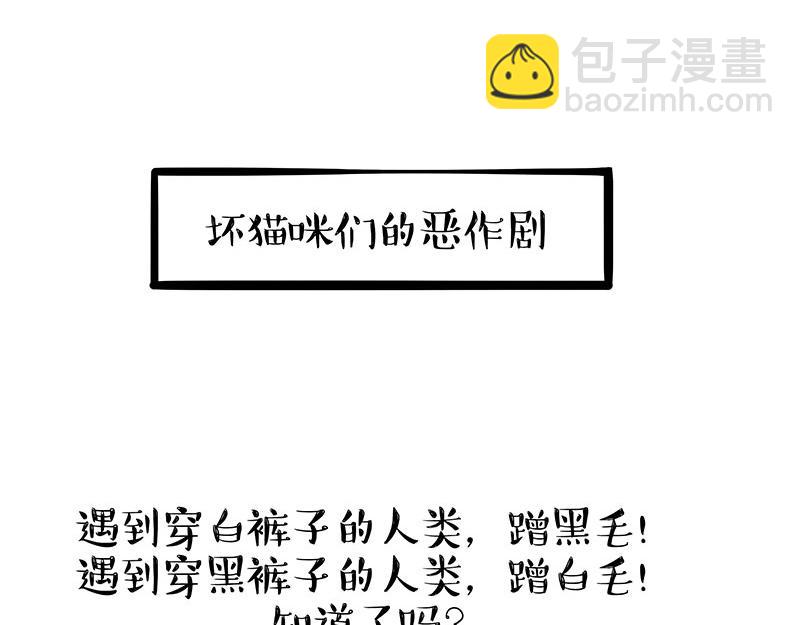 🍘吾皇巴扎黑 第405话 猫好狗好，人坏 第25页