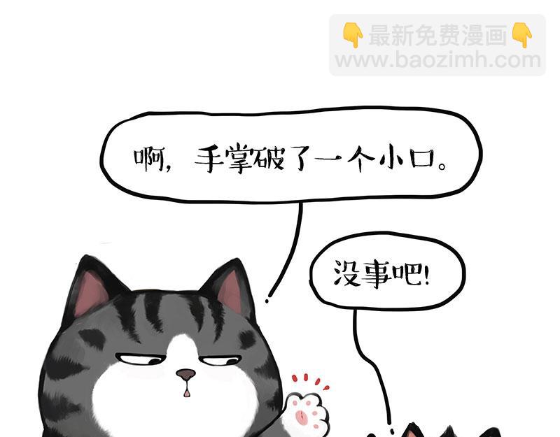🍘吾皇巴扎黑 第405话 猫好狗好，人坏 第28页