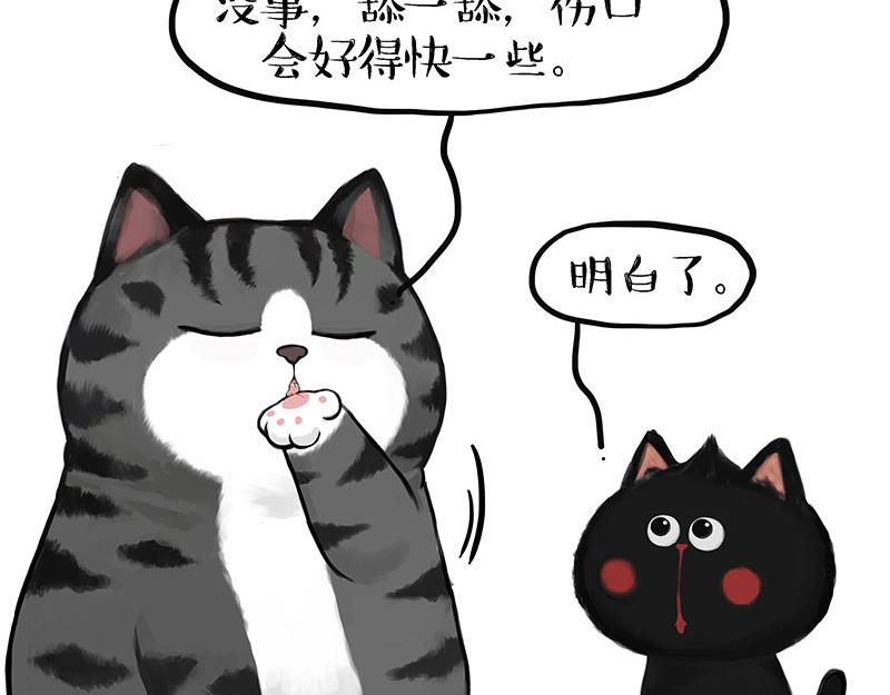 🍘吾皇巴扎黑 第405话 猫好狗好，人坏 第30页