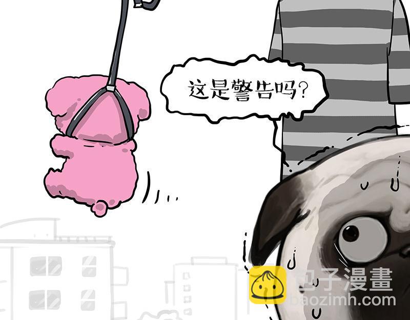 🍘吾皇巴扎黑 第405话 猫好狗好，人坏 第8页
