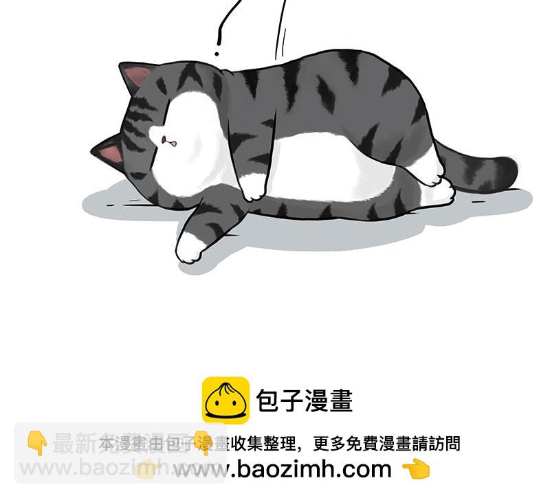 🍘吾皇巴扎黑 第407话 是梦吧？ 第50页
