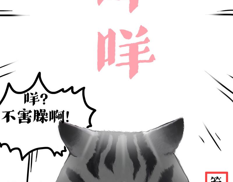 🍘吾皇巴扎黑 第409话 吾皇改名了？ 第29页