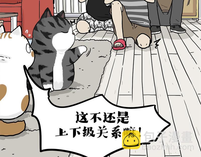 🍘吾皇巴扎黑 第409话 吾皇改名了？ 第34页