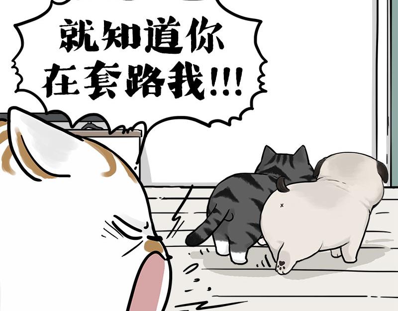 🍘吾皇巴扎黑 第409话 吾皇改名了？ 第47页