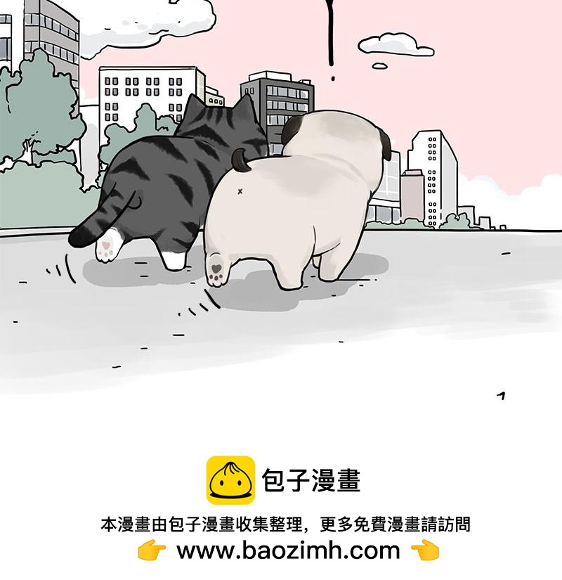 🍘吾皇巴扎黑 第409话 吾皇改名了？ 第50页