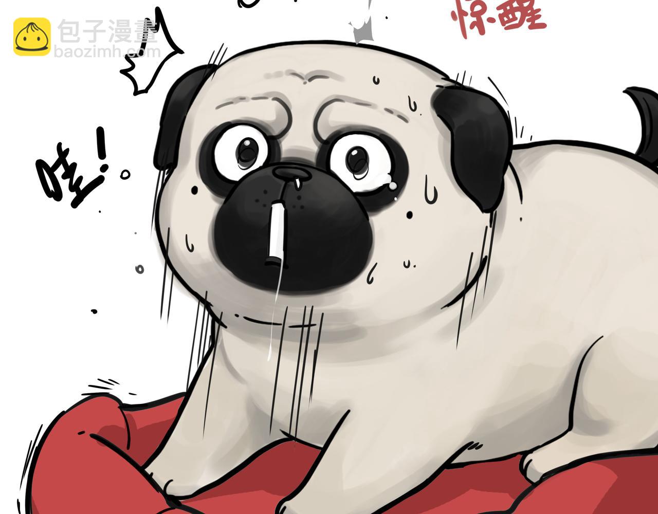 🍘吾皇巴扎黑 第411话 有人欢喜有人忧 第25页