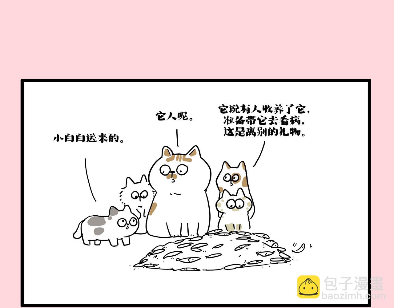 🍘吾皇巴扎黑 第413话 如果要离别... 第31页
