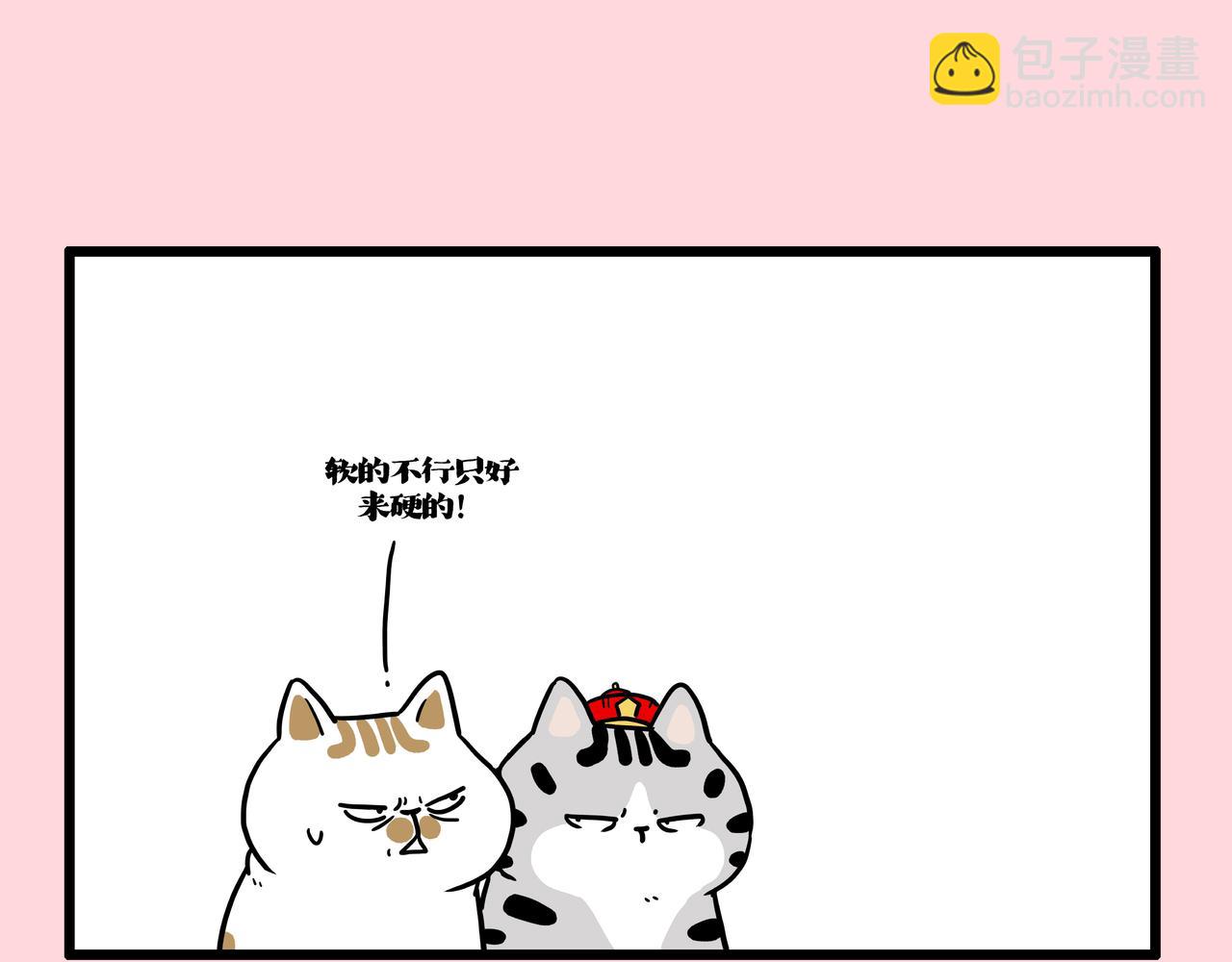 🍘吾皇巴扎黑 第415话 不再心软 第11页