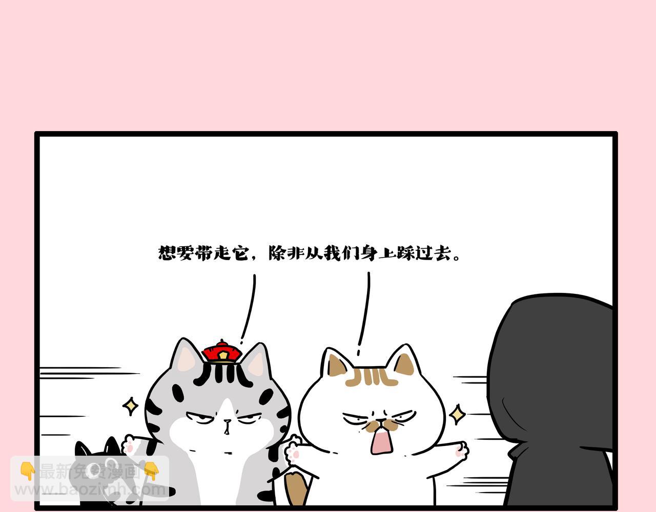 🍘吾皇巴扎黑 第415话 不再心软 第5页