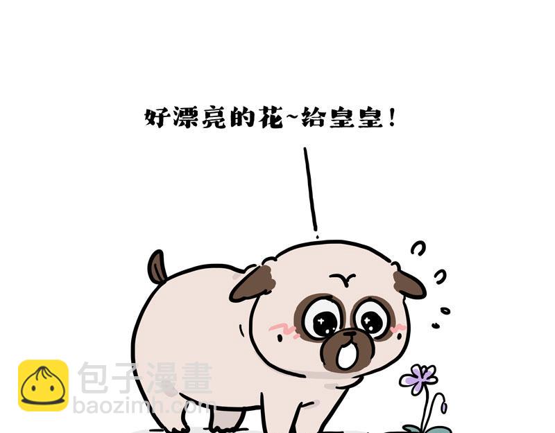 🍘吾皇巴扎黑 第417话 帅哥你谁 第29页
