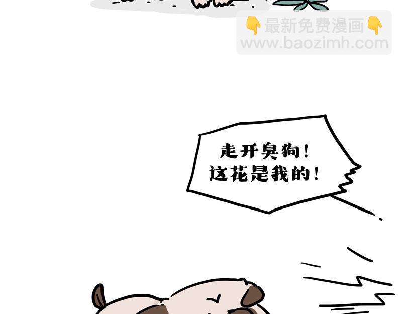 🍘吾皇巴扎黑 第417话 帅哥你谁 第30页