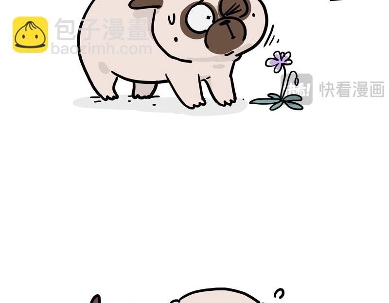 🍘吾皇巴扎黑 第417话 帅哥你谁 第31页