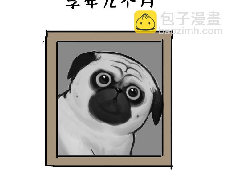 🍘吾皇巴扎黑 第43话 让父母别看奇怪文章 第7页