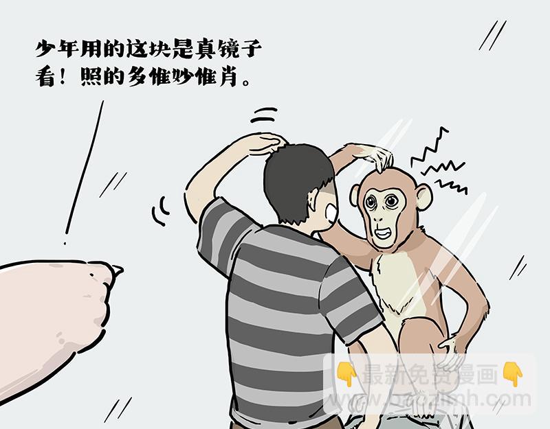 🍘吾皇巴扎黑 第419话 魔镜 第11页