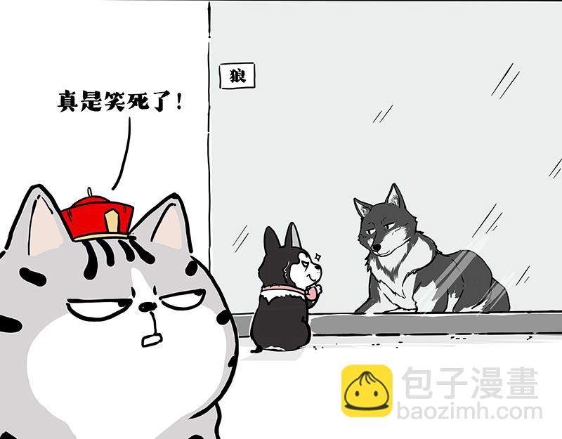 🍘吾皇巴扎黑 第419话 魔镜 第5页