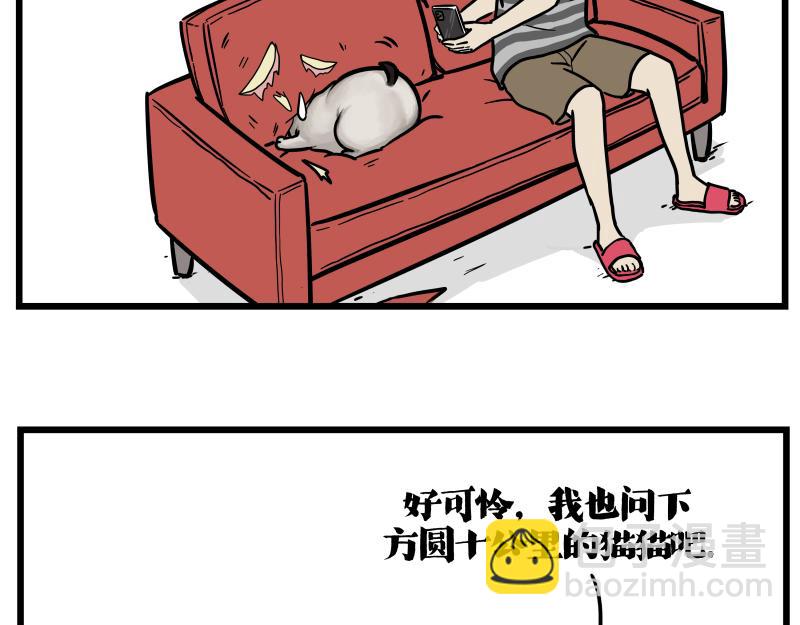 🍘吾皇巴扎黑 第423话 卡沙不拦卡 第12页