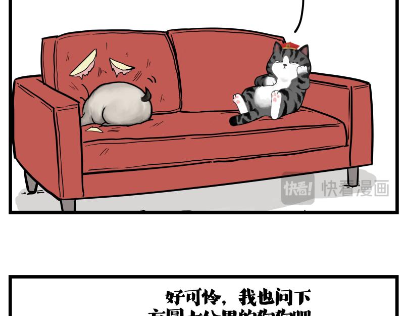 🍘吾皇巴扎黑 第423话 卡沙不拦卡 第13页