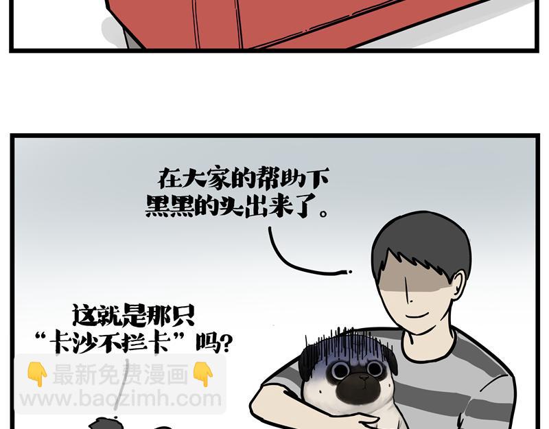 🍘吾皇巴扎黑 第423话 卡沙不拦卡 第18页